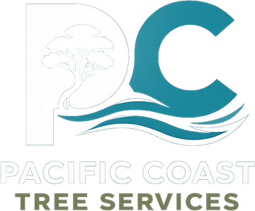 Pacific Coast Tree Services — Your Local Tree Experts