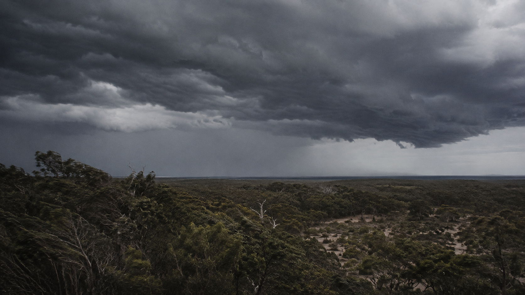 A storm front building over coastal bushland on the Mid North Coast