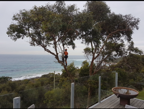 Tree work being carried out on a Mid North Coast property