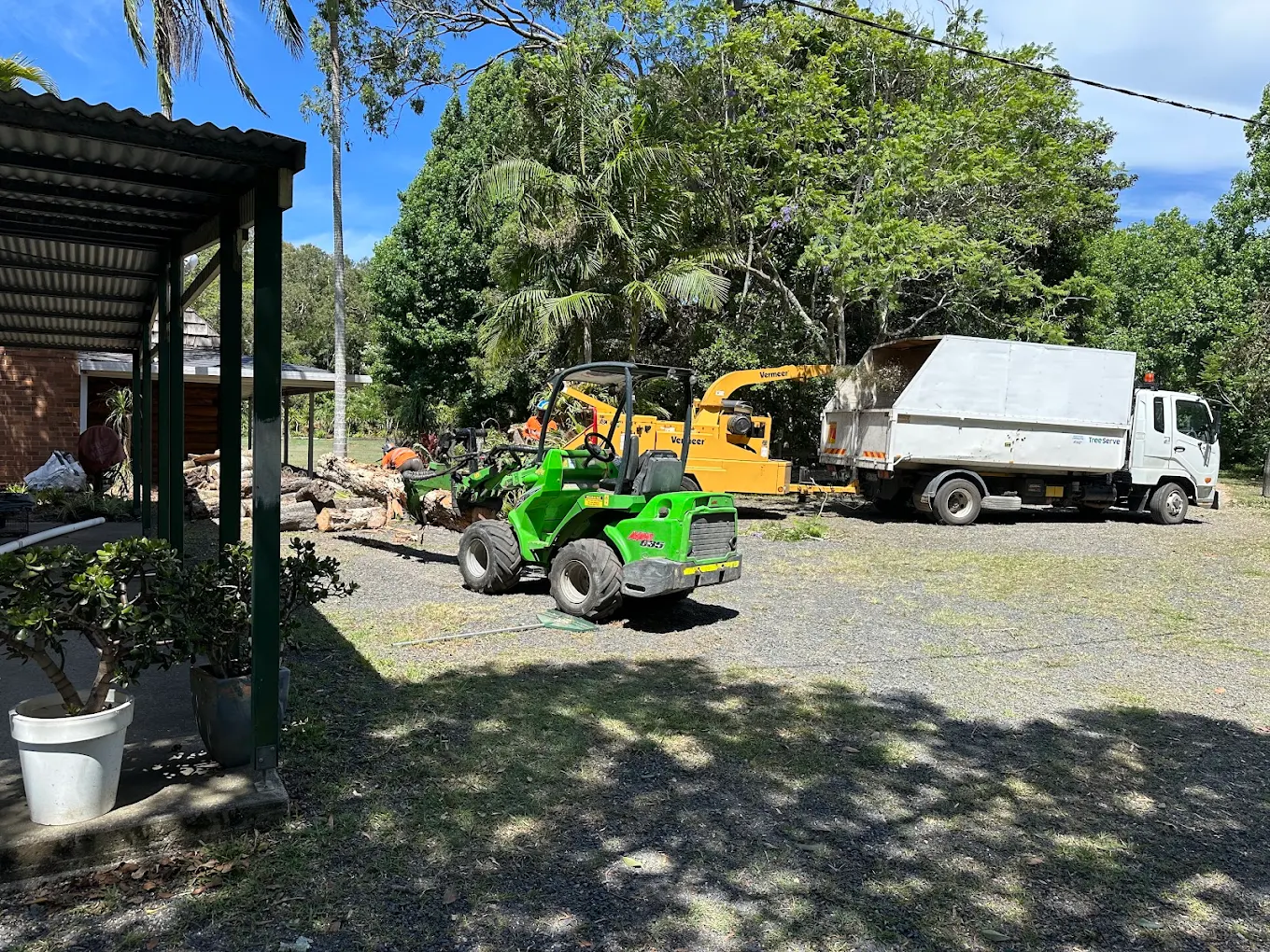 Stump ground out flush with the surrounding ground