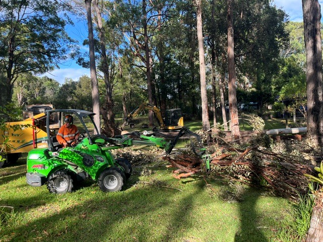 Clearing vegetation and overhanging limbs for bushfire preparation
