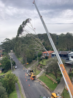 Complex crane-assisted removal in a high-risk position